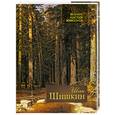 russische bücher: Евстратова Е. - Иван Шишкин