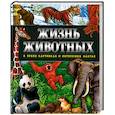 russische bücher:  - Жизнь животных в ярких картинках и интересных фактах.