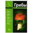 russische bücher:   - Грибы. Малая энциклопедия.