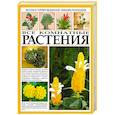 russische bücher:  - Все комнатные растения. Иллюстрированная энциклопедия