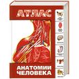 russische bücher: Лёвкин С.С. - Атлас анатомии человека