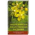 russische bücher: Соловьева В. - Энциклопедия лекарственных растений