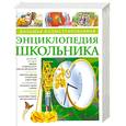 russische bücher:  - Большая иллюстрированная энциклопедия школьника