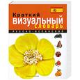 russische bücher:  - Краткий русско-испанский визуальный словарь