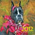 russische bücher:  - Календарь 2012. Собаки
