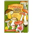 russische bücher: Юдин А.В. - Грибы съедобные и ядовитые