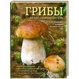 russische bücher: Ильина Т.А. - Грибы. Атлас-определитель