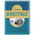 russische bücher: Джудичи К., Каневаро С., Ратто С. - 10+ Животные