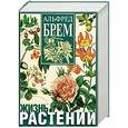 russische bücher: Брем А. - Жизнь растений