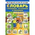russische bücher: Зеркальная Т.В. - Словарь синонимов, антонимов и омонимов