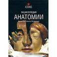russische bücher: Дюринг М. - Энциклопедия анатомии. Музей Ла Спекола, Флоренция
