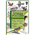 russische bücher: Алексей Мосалов, Петр Волцит - Птицы России. Определитель