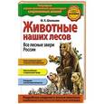 russische bücher: Ю.К. Школьник - Животные наших лесов. Все лесные звери России