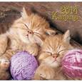 :  - Календарь 2014. Котята