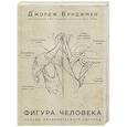 russische bücher:  - Фигура человека. Основы академического рисунка. В новой суперобложке