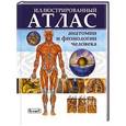 russische bücher: С. Рублев - Иллюстрированный атлас анатомии и физиологии человека