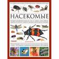 russische bücher: Уолтерс М. - Насекомые. Всемирная иллюстрированная энциклопедия