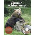 russische bücher: Митителло К.Б. - Дикие животные. Иллюстрированная энциклопедия обитателей средней полосы России + CD-ROM