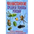 russische bücher: Ползиков В.В. - Членистоногие Средней полосы России