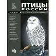 russische bücher:  - Птицы России