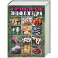 russische bücher: Т.В.Лагутина - Грибная энциклопедия