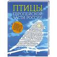 russische bücher: Василий Вишневский - Птицы европейской части России