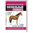 russische bücher:  - Китайско-русский русско-китайский визуальный мини-словарь