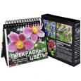 russische bücher:  - Прекрасные цветы. Шедевры природы на каждый день
