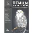russische bücher:  - Мини-энциклопедия. Птицы России