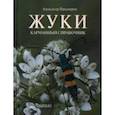russische bücher: Просвиров А.С. - Жуки. Карманный справочник