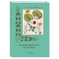 russische bücher: Пантилеева А. - Ботанический атлас. Карл фон Гофман