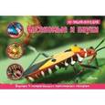 russische bücher: Кульнева М.Л. - Насекомые, пауки, многоножки. 3D панорама