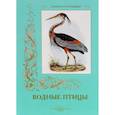 russische bücher: Пантилеева А.,Иванов С. - Водные птицы