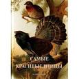 russische bücher:  - Самые красивые птицы