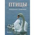 russische bücher: Калякин М.,Гроо - Птицы европейской части России. Карманный справочник