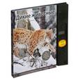 russische bücher: Ксения Митителло - Дикие животные. Иллюстрированная энциклопедия обитателей средней полосы России (с музыкальным модулем)
