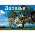russische bücher:  - Деревья. Красота и гармония