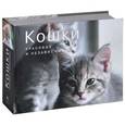 russische bücher:  - Кошки. Красивые и независимые