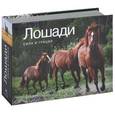 russische bücher:  - Лошади. Сила и грация