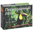 russische bücher:  - Первозданный лес. Все краски мира