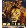 russische bücher: Уленбрук Шарлотта - ЖИВОТНЫЕ. Большая иллюстрированная энциклопедия