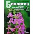 russische bücher: Викторов В.,Ник - Биология. Растения. Бактерии. Грибы и лишайники. 6 класс.