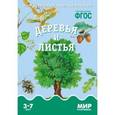 russische bücher:  - Деревья и листья. Наглядно-дидактическое пособие. Для детей 3-7 лет (набор карточек)