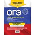 russische bücher: Попов А.В. - ОГЭ. Физика. Универсальный справочник
