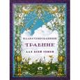 russische bücher: Зоркая М.В., Рудакова Н.П. - Иллюстрированный травник для всей семьи