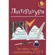 russische bücher: Амелина Е.В. - Литература. Экспресс-курс подготовки к ЕГЭ