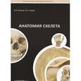 russische bücher: Козлов Валентин Иванович - Анатомия скелета. Учебное пособие