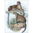 russische bücher:   - Кошки (набор из 15 открыток)