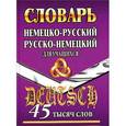russische bücher:  - Немецко-русский, русско-немецкий словарь для учащихся