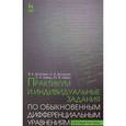 russische bücher: Болотюк Владимир Анатольевич, Швец Юлия Владимировна - Практикум и индивидуальные задания по дифференциальным уравнениям. Учебное пособие